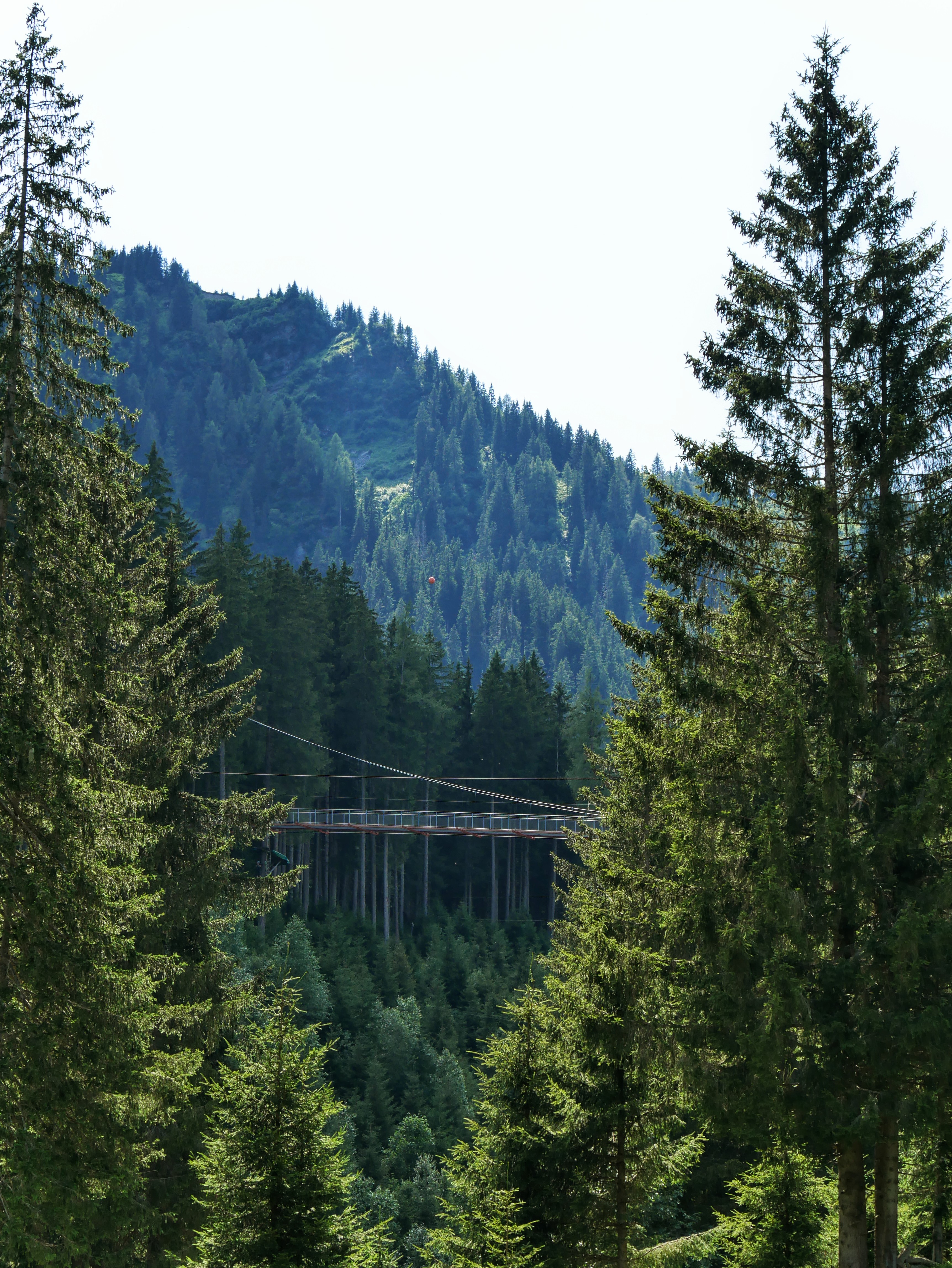 Wandelbrug Talschluss Saalbach Hinterglemm